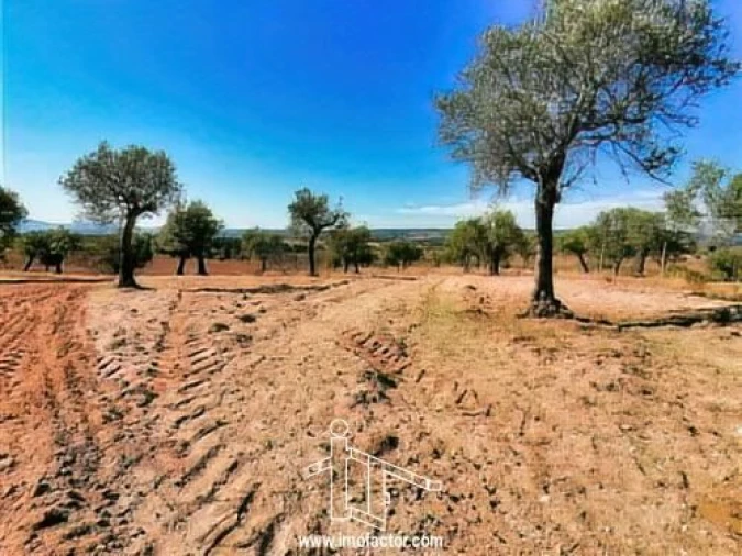 Terreno para Venda em Perais Foto 9