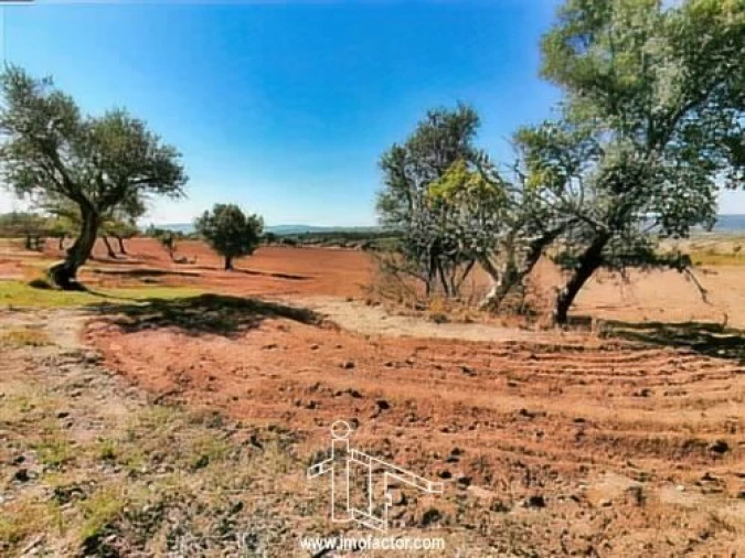 Terreno para Venda em Perais Foto 8
