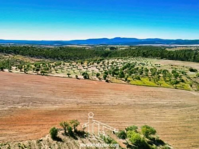 Terreno para Venda em Perais Foto 5