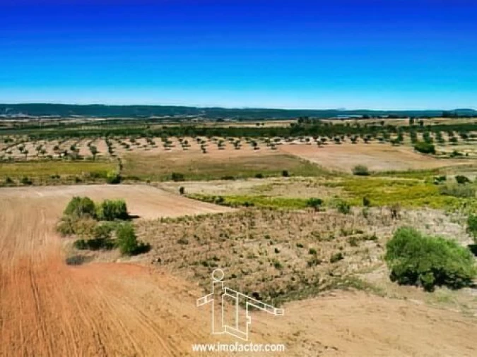 Terreno para Venda em Perais Foto 3