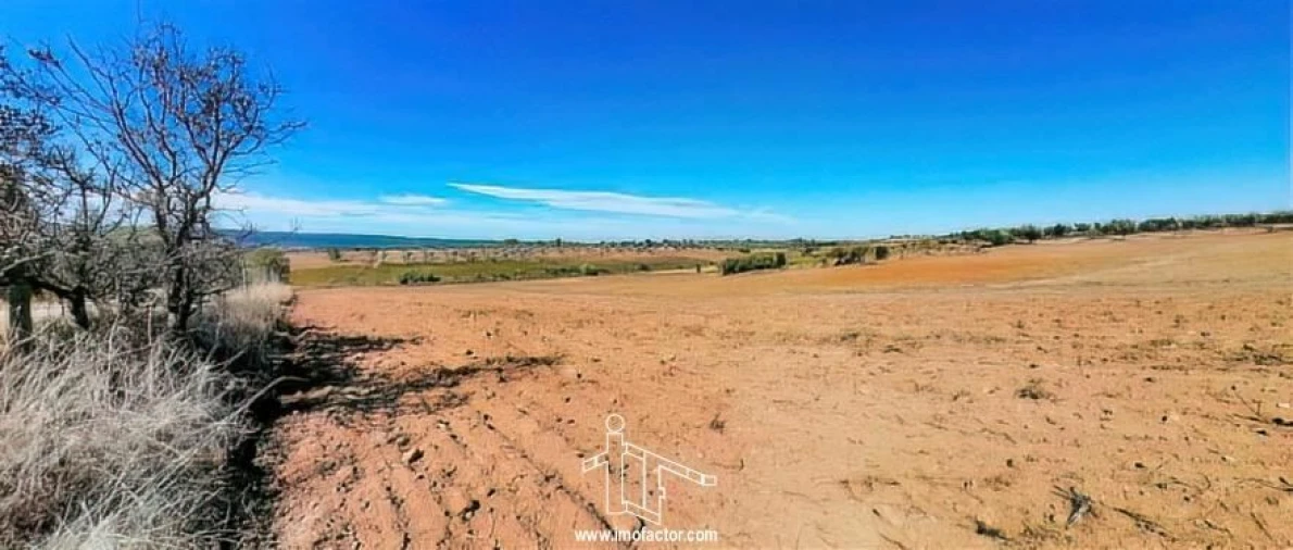 Terreno para Venda em Perais Foto 18