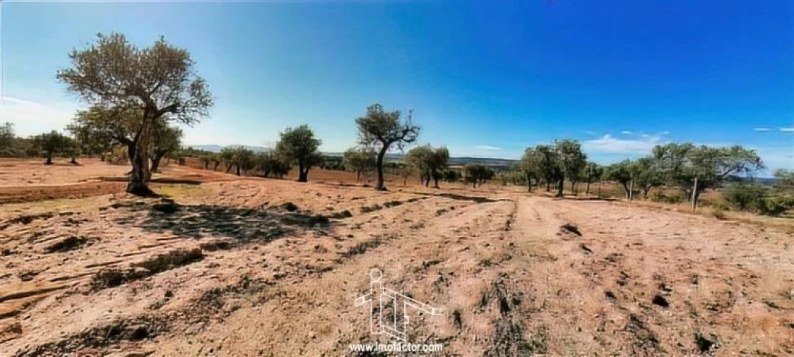 Terreno para Venda em Perais Foto 22