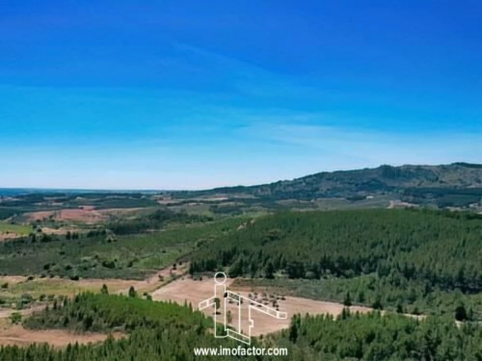 Terreno para Venda em Capinha Foto 16