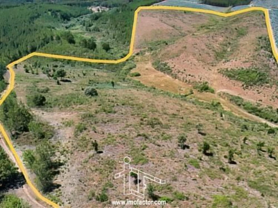 Terreno para Venda em Capinha Foto 14