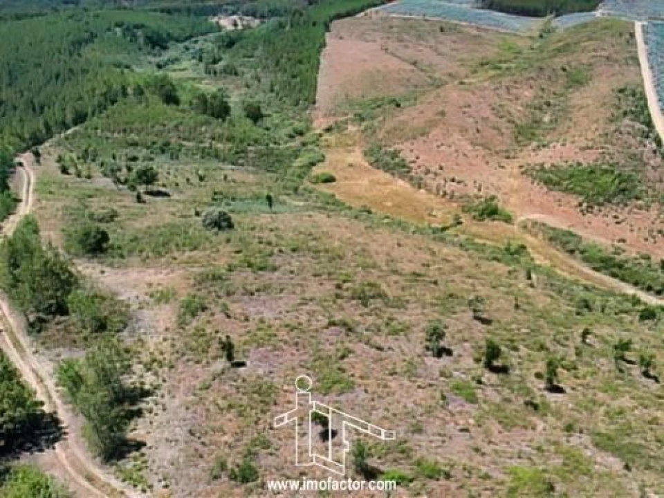 Terreno para Venda em Capinha Foto 13