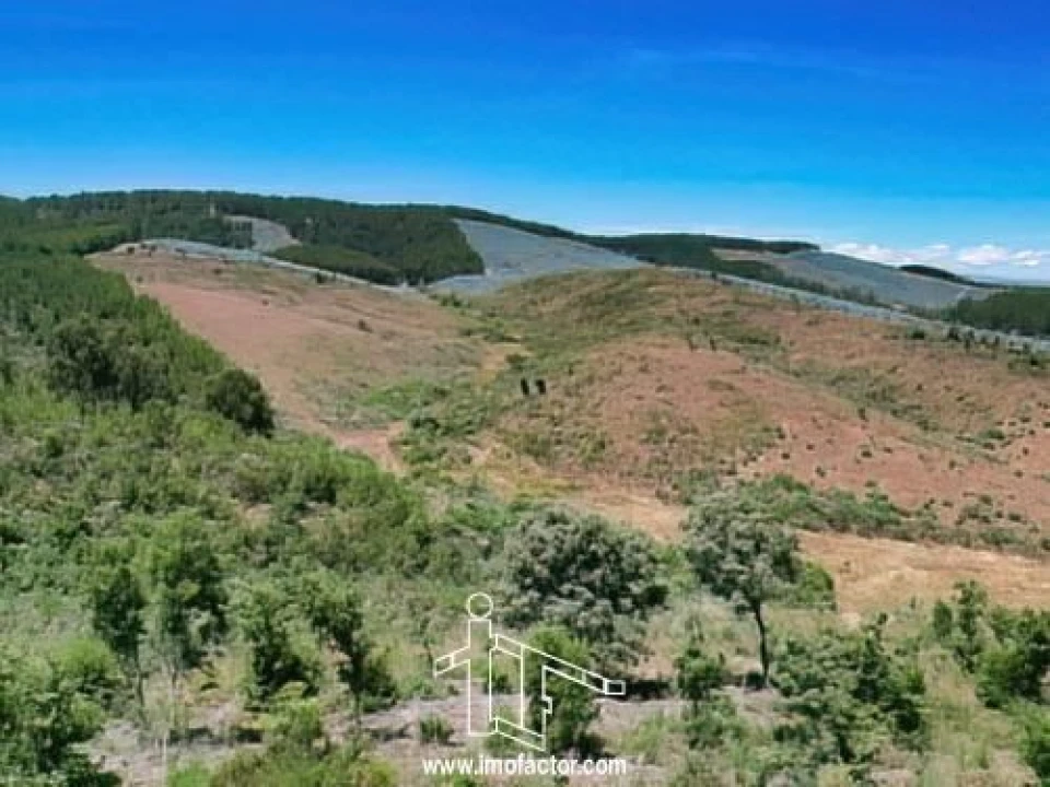 Terreno para Venda em Capinha Foto 11