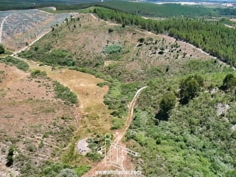 Terreno para Venda em Capinha Foto 8