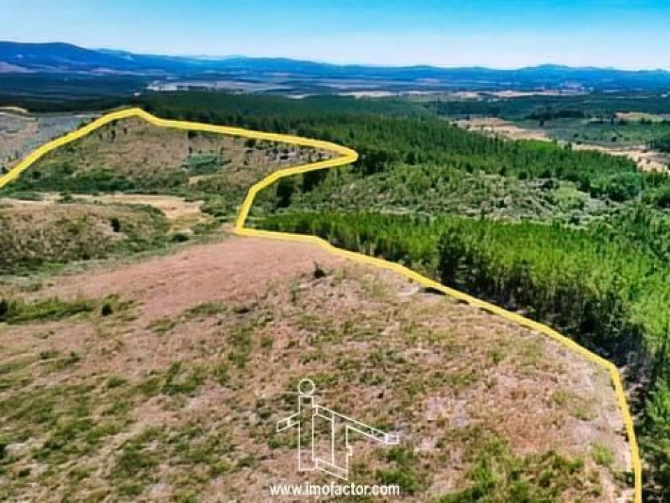 Terreno para Venda em Capinha Foto 7