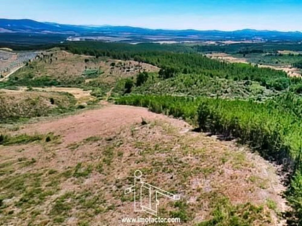 Terreno para Venda em Capinha Foto 6