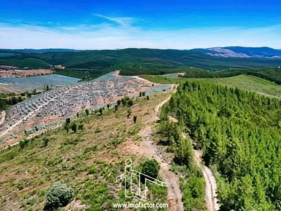Terreno para Venda em Capinha Foto 1