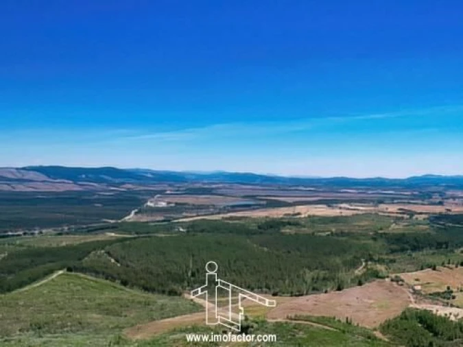 Terreno para Venda em Capinha Foto 15