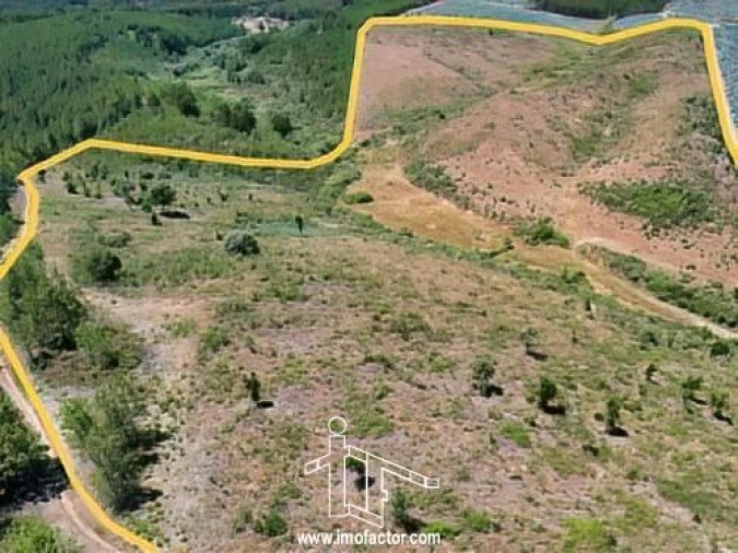 Terreno para Venda em Capinha Foto 14