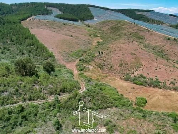 Terreno para Venda em Capinha Foto 12