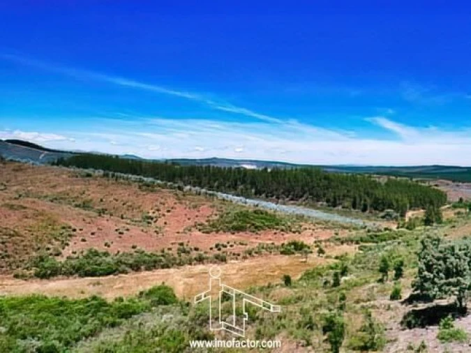 Terreno para Venda em Capinha Foto 3