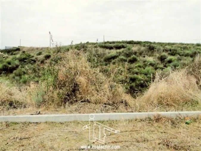 Terreno para Venda em Castelo Branco