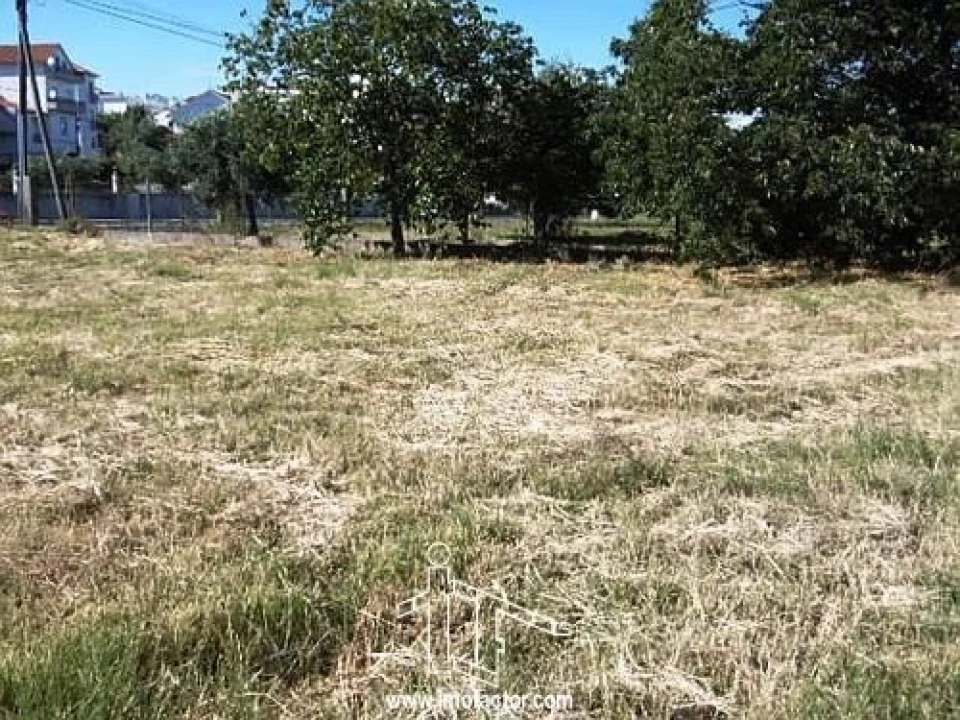 Terreno para Venda em Castelo Branco Foto 2
