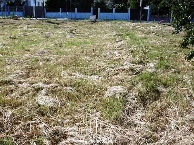 Terreno para Venda em Castelo Branco Foto 3
