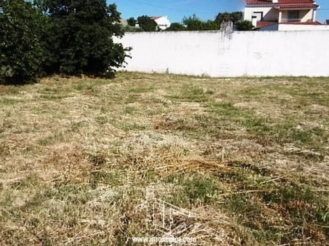 Terreno para Venda em Castelo Branco