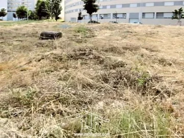 Terreno para Venda em Castelo Branco