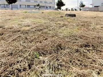 Terreno para Venda em Castelo Branco