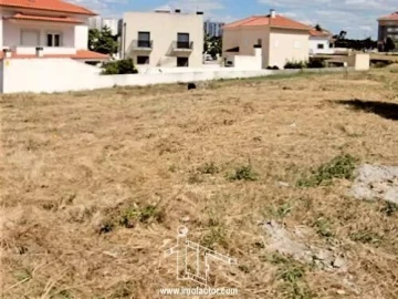 Terreno para Venda em Castelo Branco