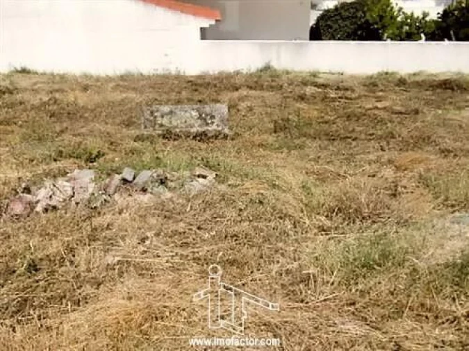 Terreno para Venda em Castelo Branco Foto 2