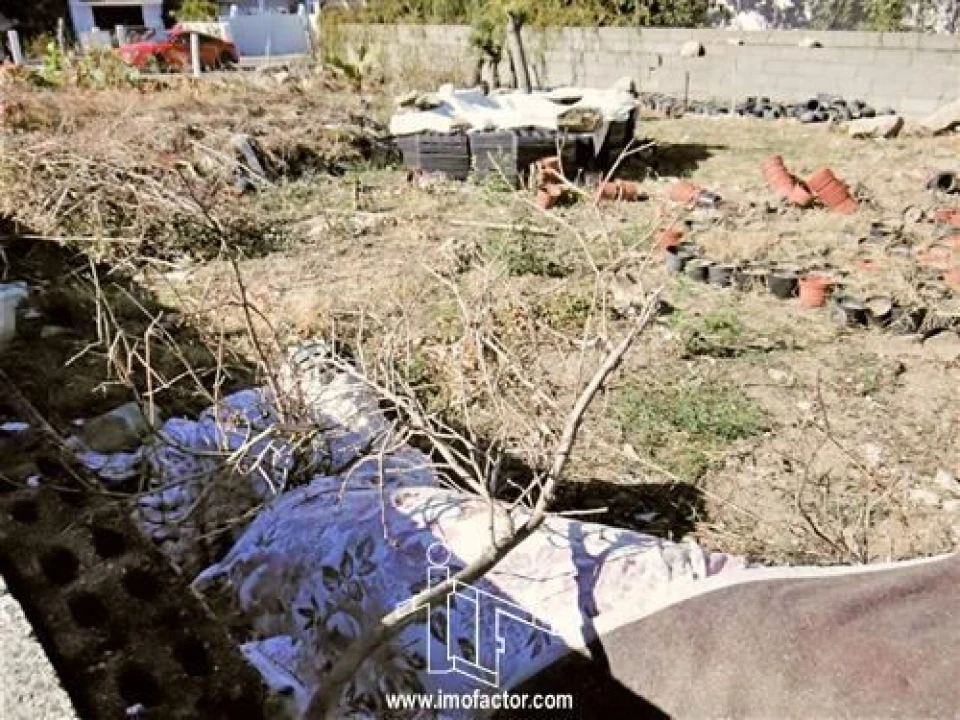 Terreno para Venda em Castelo Branco Foto 4