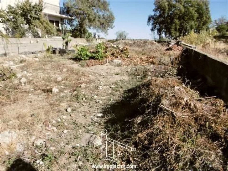 Terreno para Venda em Castelo Branco Foto 1
