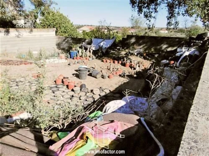 Terreno para Venda em Castelo Branco Foto 5