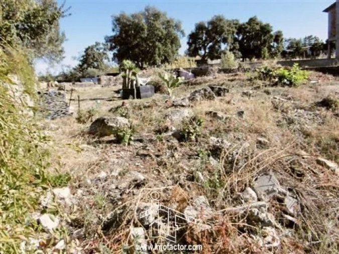 Terreno para Venda em Castelo Branco Foto 3
