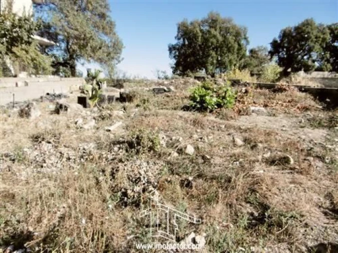 Terreno para Venda em Castelo Branco Foto 2