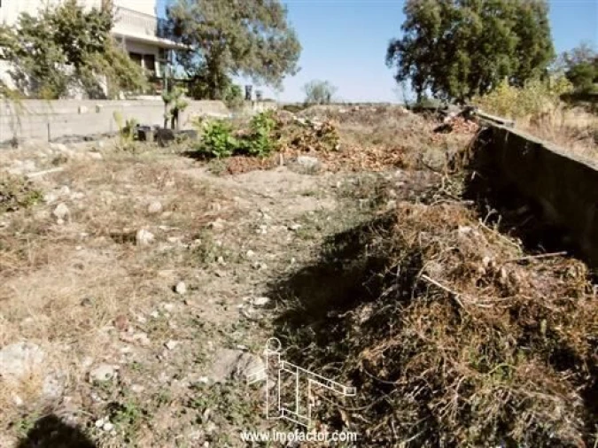 Terreno para Venda em Castelo Branco