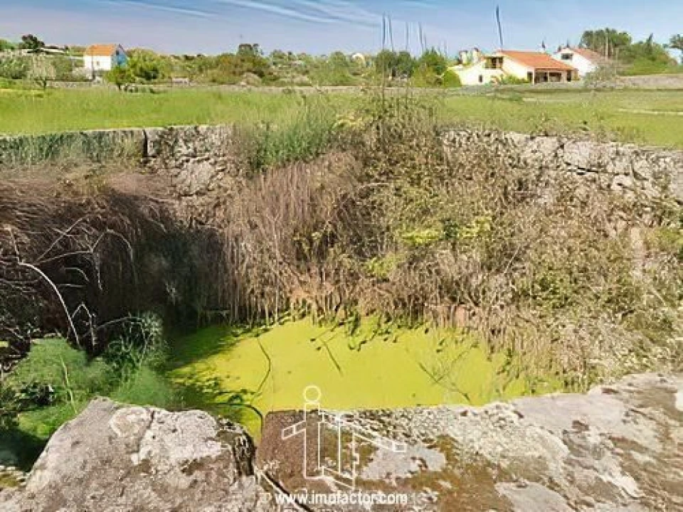 Quinta T0 para Venda em Castelo Branco Foto 18