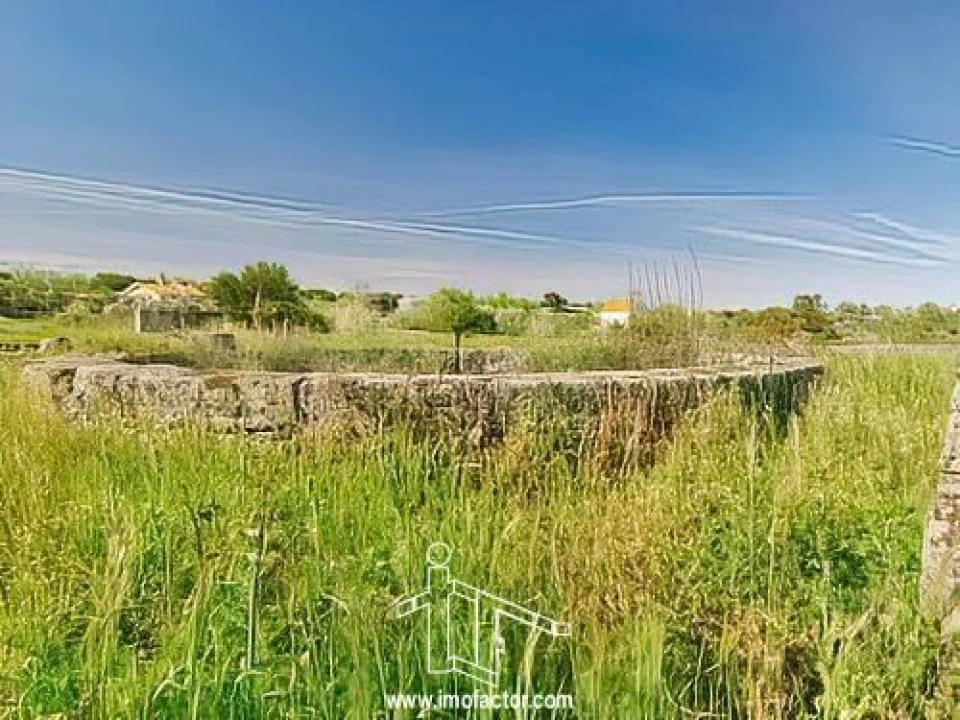 Quinta T0 para Venda em Castelo Branco Foto 17