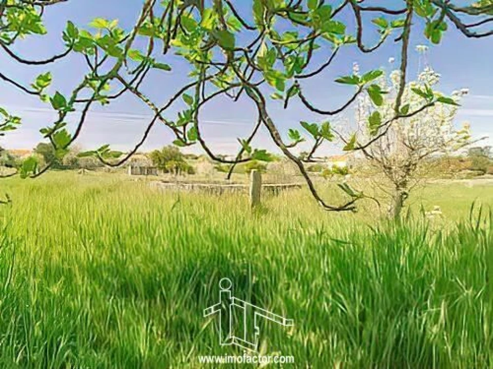 Quinta T0 para Venda em Castelo Branco Foto 16