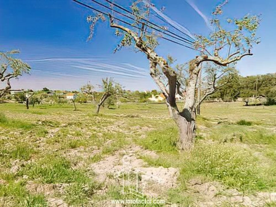 Quinta T0 para Venda em Castelo Branco Foto 15