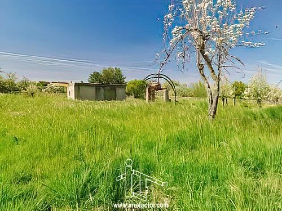 Quinta T0 para Venda em Castelo Branco Foto 12