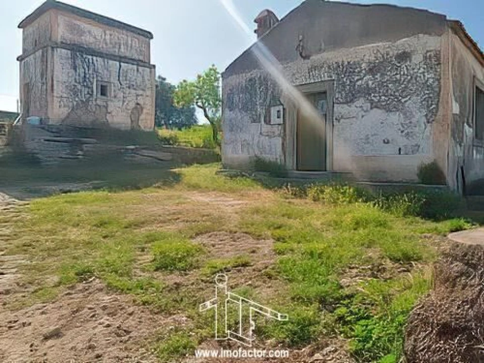 Quinta T0 para Venda em Castelo Branco Foto 10