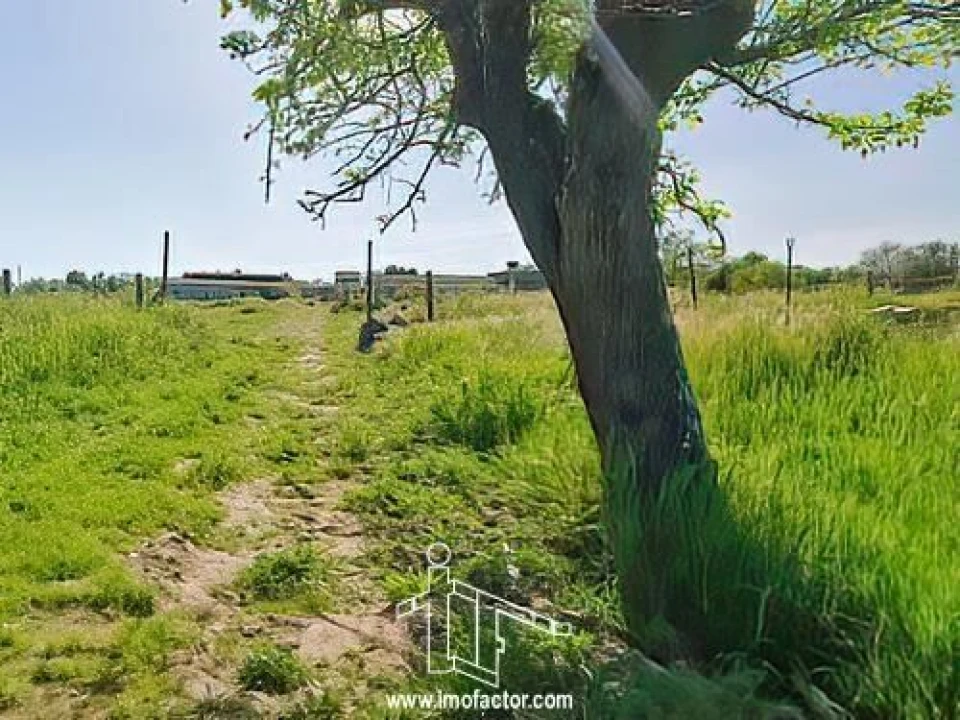 Quinta T0 para Venda em Castelo Branco Foto 21