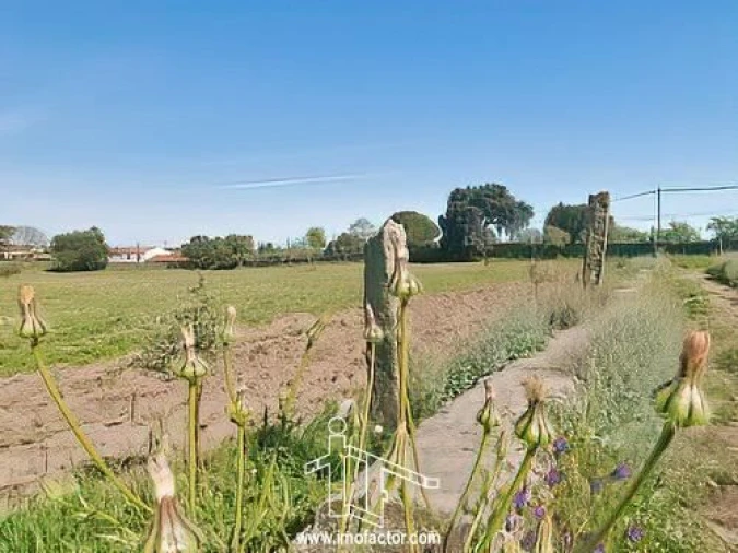 Quinta T0 para Venda em Castelo Branco Foto 19