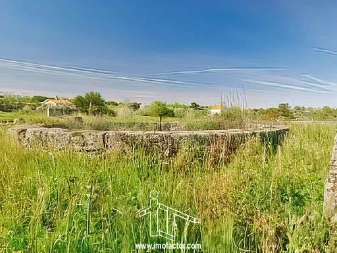 Quinta T0 para Venda em Castelo Branco Foto 17