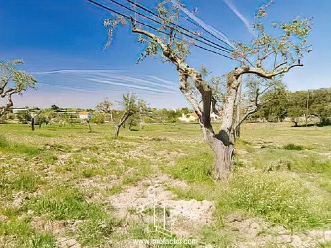 Quinta T0 para Venda em Castelo Branco Foto 15