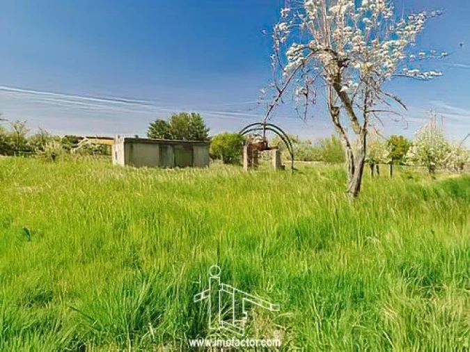 Quinta T0 para Venda em Castelo Branco Foto 12