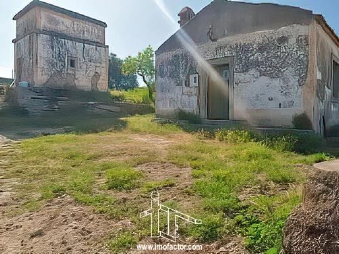 Quinta T0 para Venda em Castelo Branco Foto 10