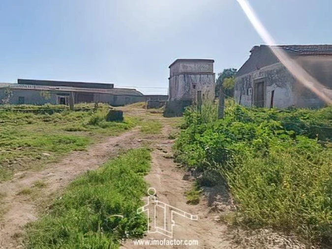 Quinta T0 para Venda em Castelo Branco Foto 8