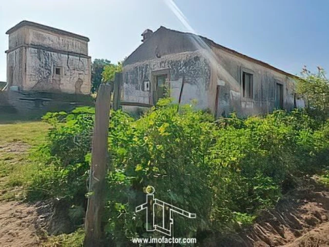 Quinta T0 para Venda em Castelo Branco Foto 6