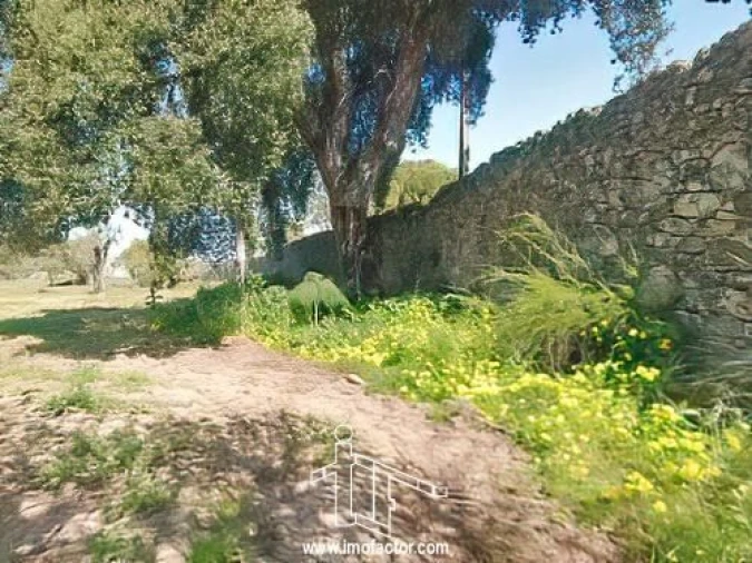 Quinta T0 para Venda em Castelo Branco Foto 4