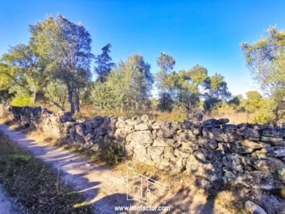 Terreno para Venda em Escalos de Cima e Lousa Foto 2