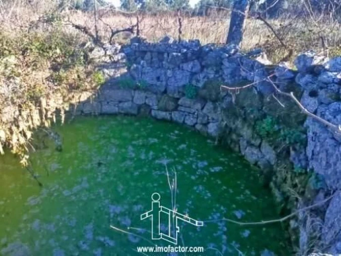 Terreno para Venda em Escalos de Cima e Lousa Foto 6