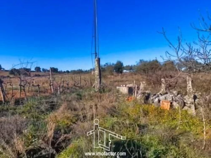 Terreno para Venda em Escalos de Cima e Lousa Foto 5